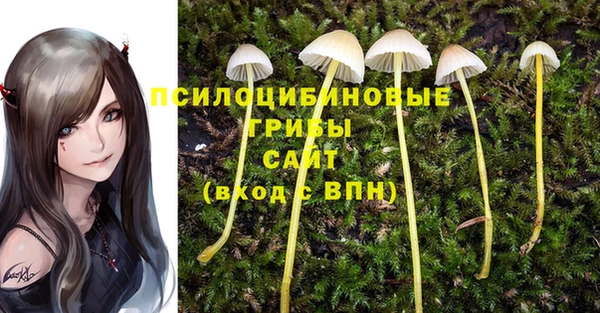спайс Аркадак