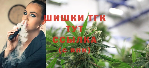 спайс Аркадак