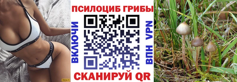 Псилоцибиновые грибы MAGIC MUSHROOMS  Купить закладки  Таштагол 